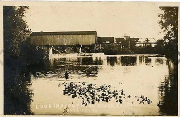 LSMS Bridge In Petersburg MI