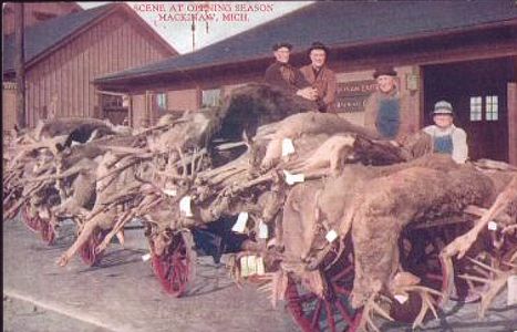 Mackinaw City Depot with deer