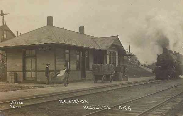 Wolverine MI Depot