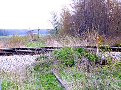 Raisin Center MI railroads