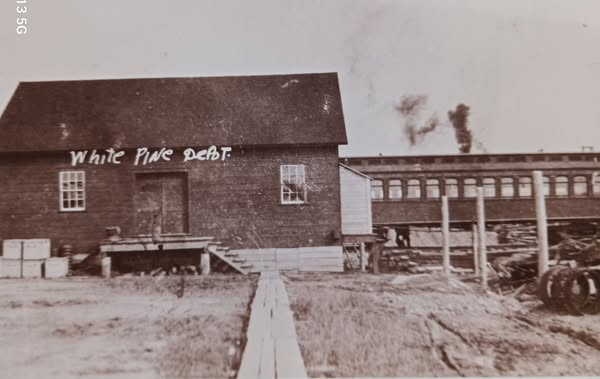 White Pine depot